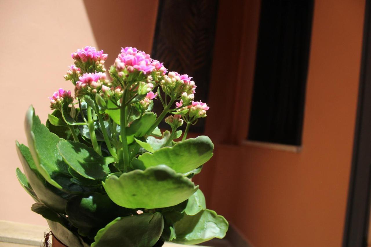 Lion Luxury Rooms Rome Bagian luar foto